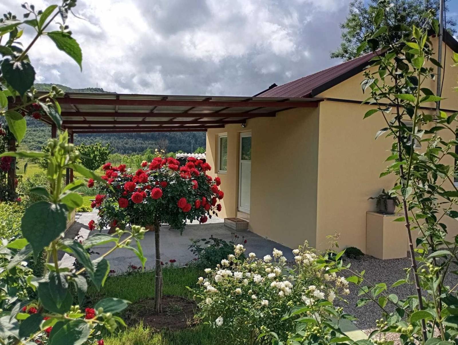 Smjestaj Dada Villa Trebinje Exterior photo